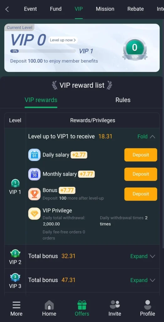 Application VIP level dashboard showing rewards and benefits list