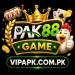 PAK88 Game 3D style logo with black background smooth