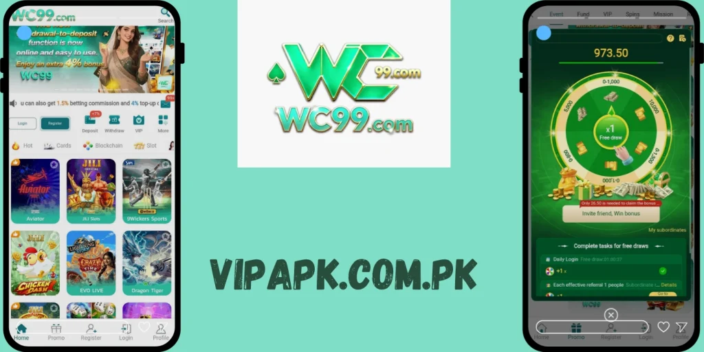 WC99 Game this image showing a  catagary games 