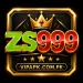 ZS999 online earning game logo with gold crown design.