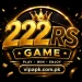 222RS Game Official logo