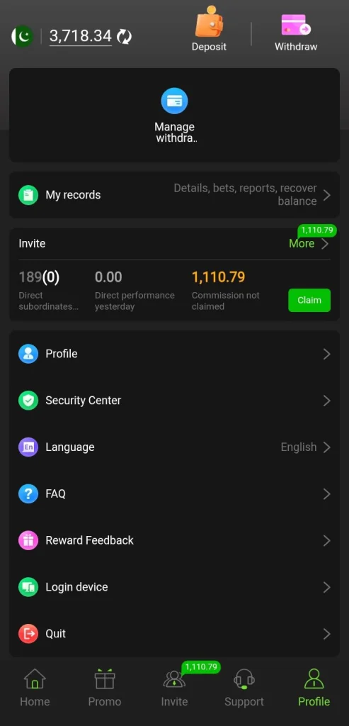 VK999 Game earning dashboard