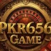 PKR656 Game