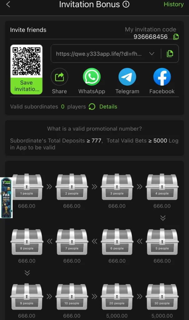Y333 rewards