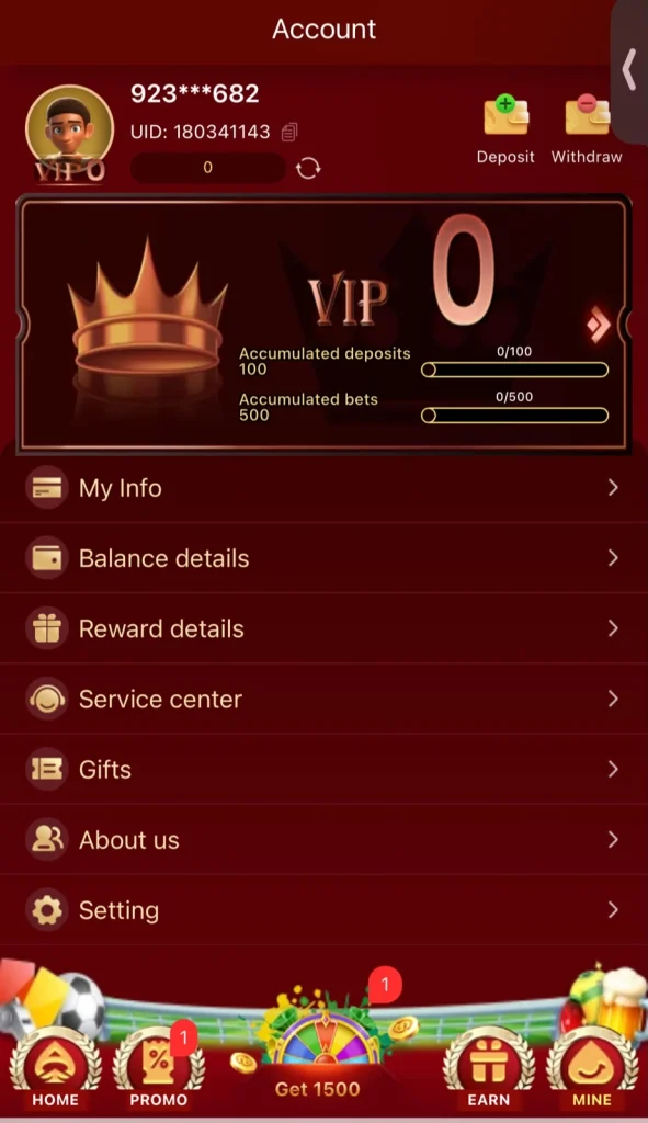 Game profile and vip level