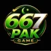 667 game